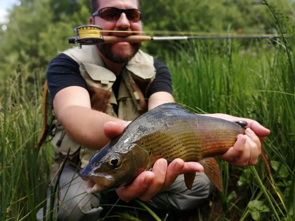 Slovenia Fly Fishing - Unica