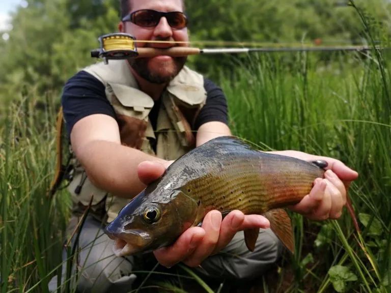 Slovenia Fly Fishing - Unica