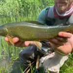 Slovenia Fly Fishing - Unica