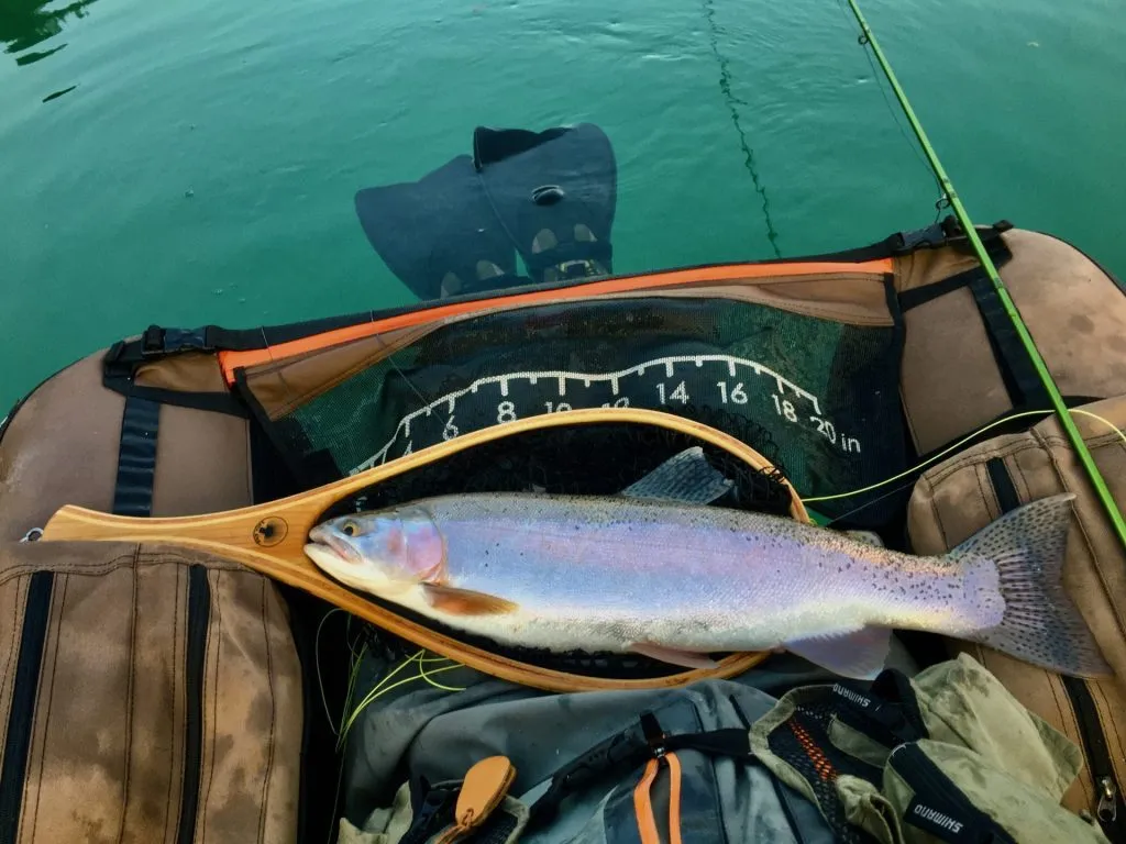 Slovenia Fly Fishing