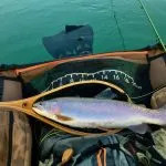 Slovenia Fly Fishing