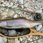 Slovenia Fly Fishing