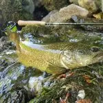Slovenia Fly Fishing