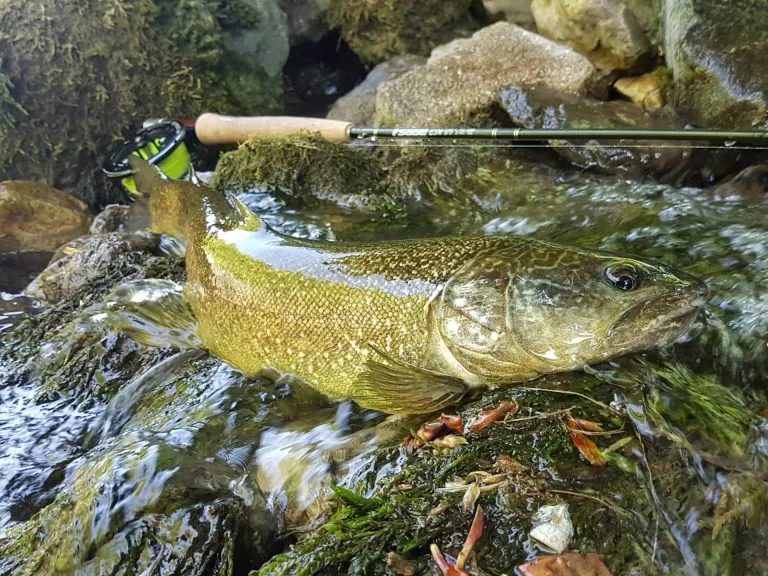 Slovenia Fly Fishing