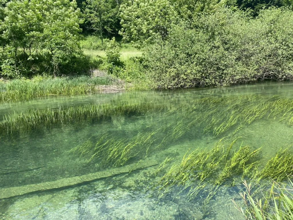 Slovenia Fly Fishing - Unica