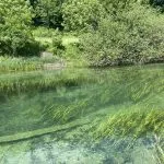 Slovenia Fly Fishing - Unica