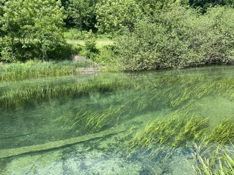 Slovenia Fly Fishing - Unica