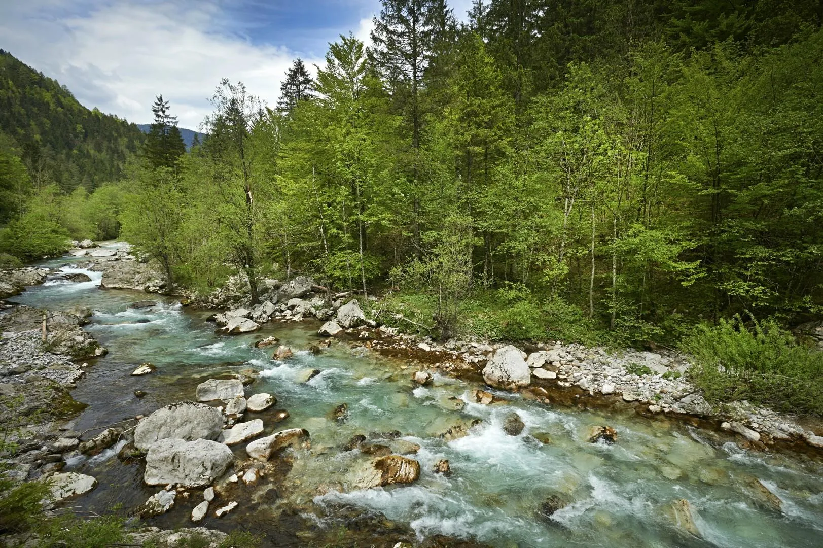 Savinja River