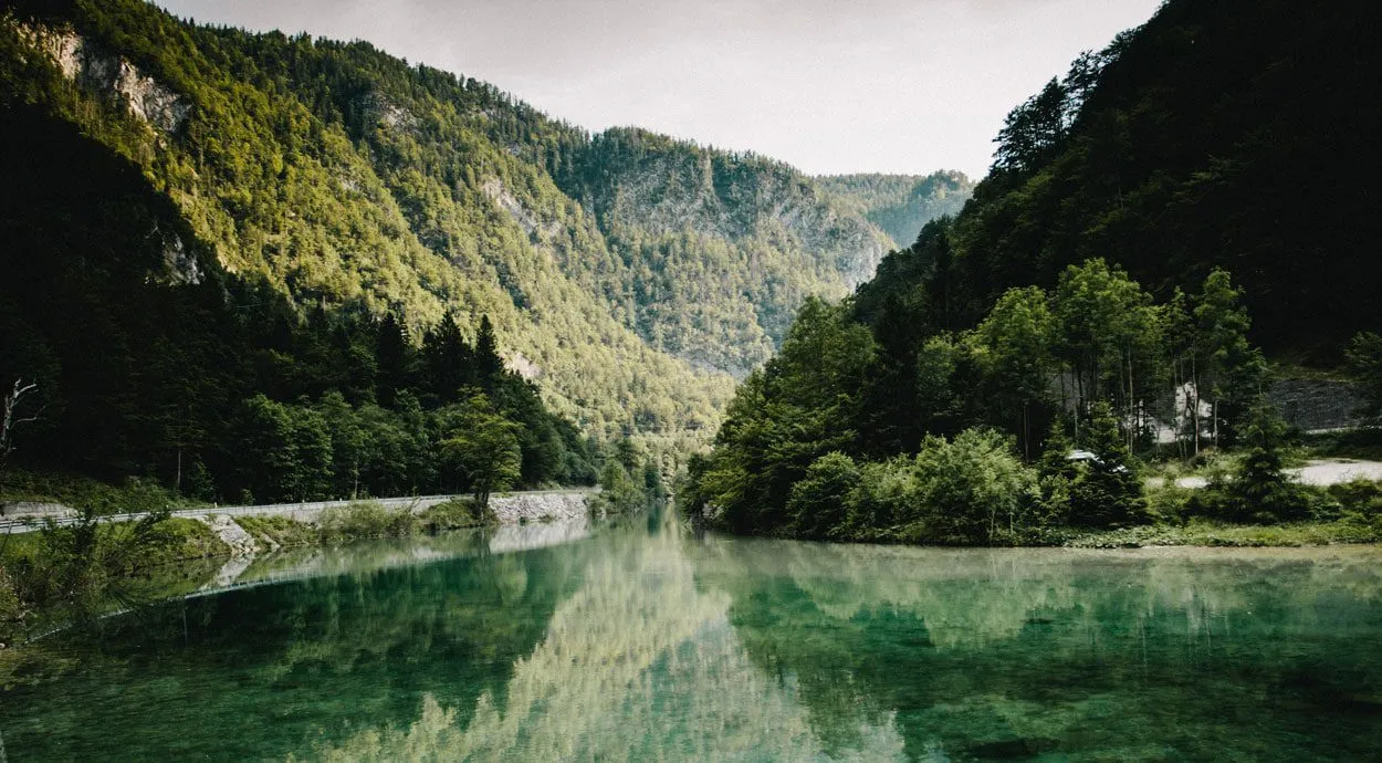 Sava Bohinjka