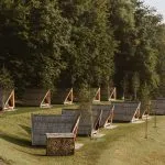 Forest Lodge